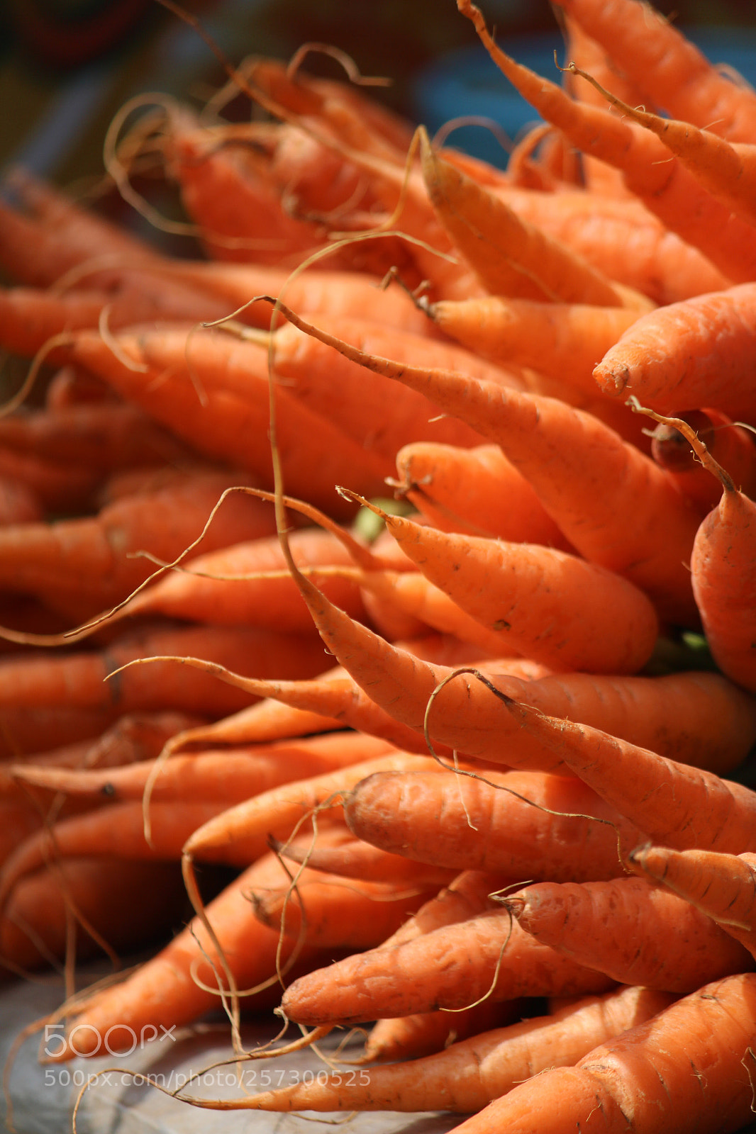 Canon EOS 700D (EOS Rebel T5i / EOS Kiss X7i) sample photo. Carrots photography