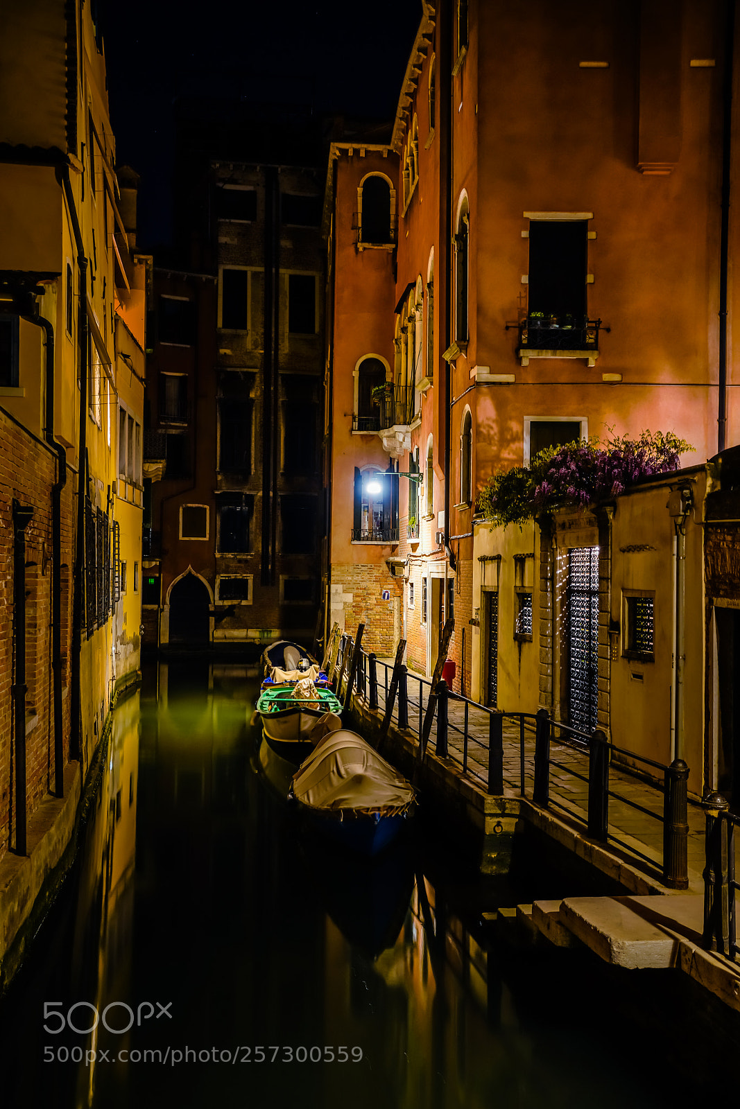 Sony a7R III sample photo. Dsc photography