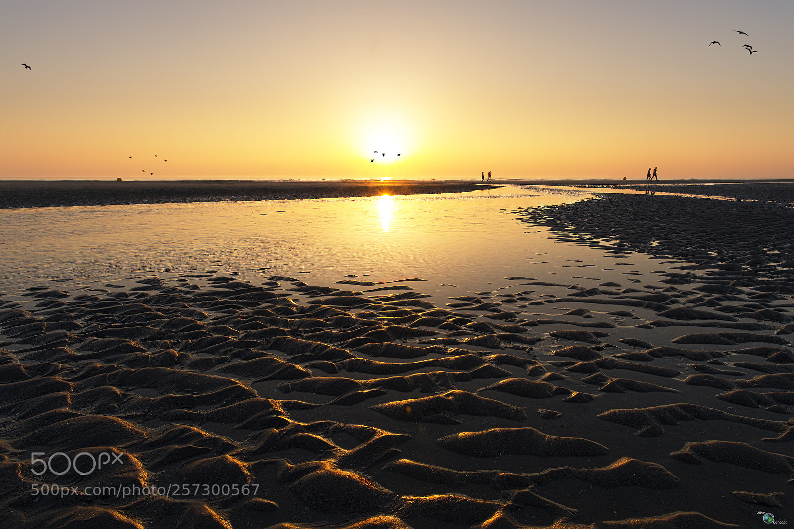 Nikon D4S sample photo. Fort mahon plage photography