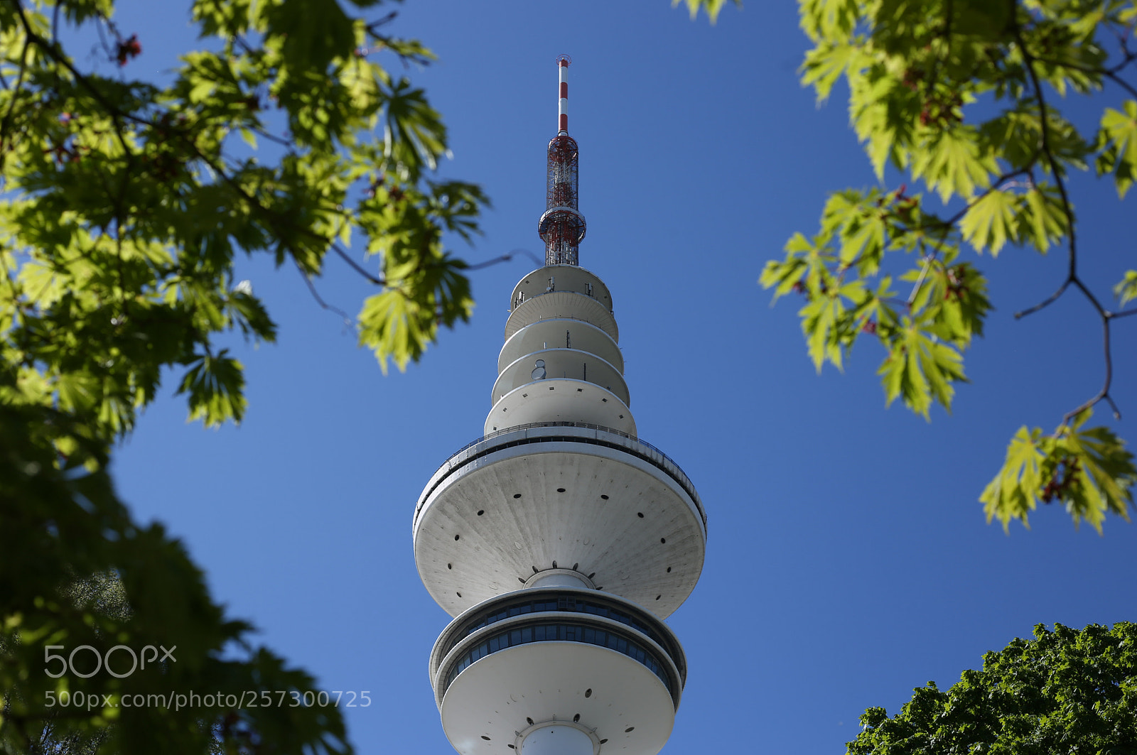 Canon EOS 6D sample photo. Untitled photography
