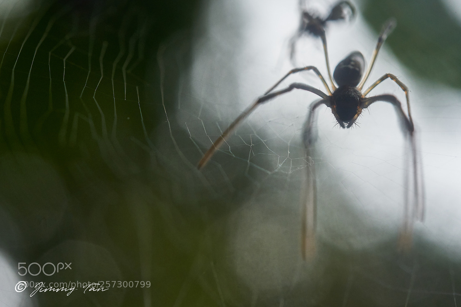Sony a7 III sample photo. Scary silhouette photography