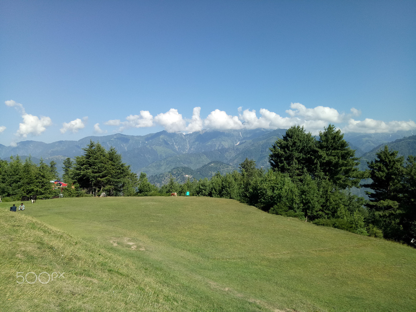 OPPO A1601 sample photo. Shogran valley photography