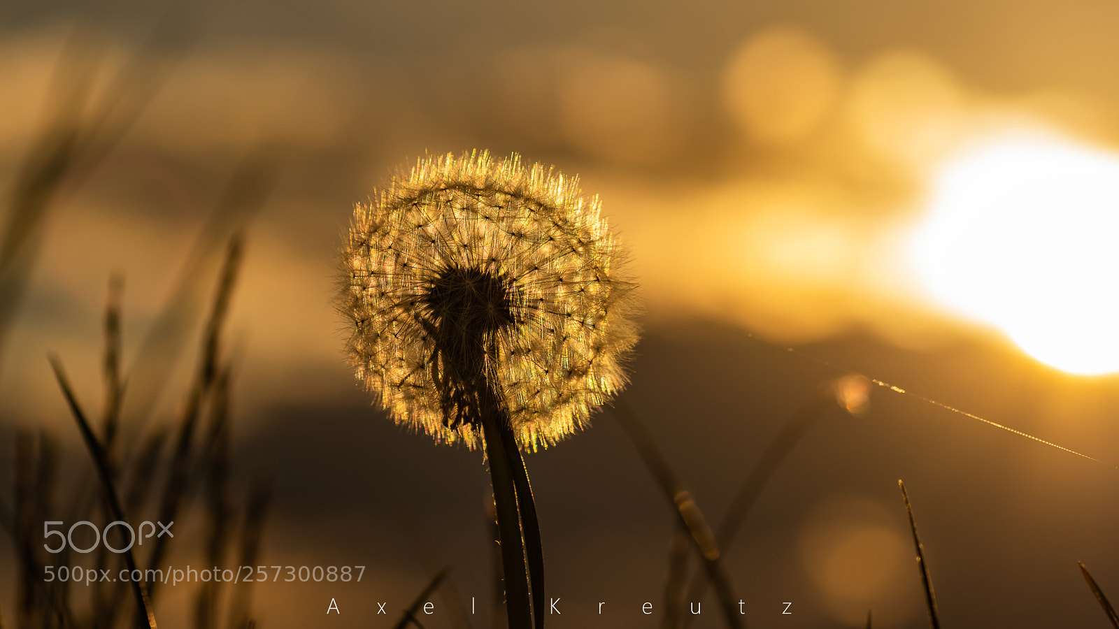 Pentax K-3 II sample photo. Sunset photography