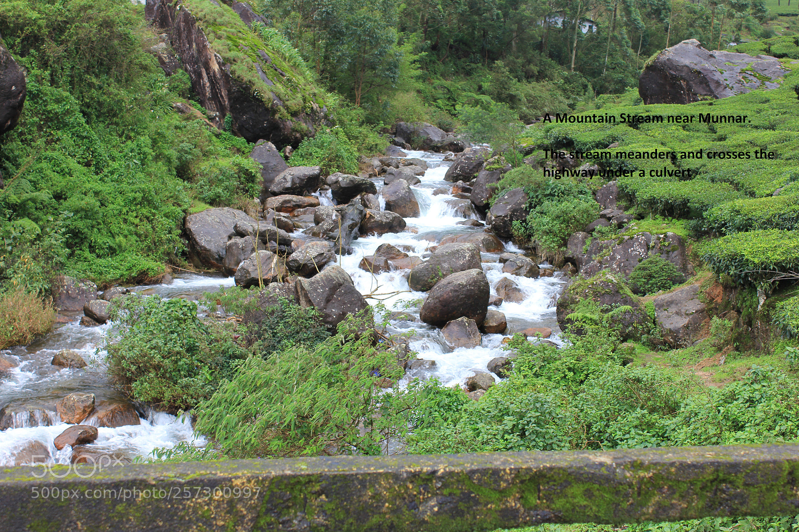 Canon EOS 60D sample photo. Munnarp photography