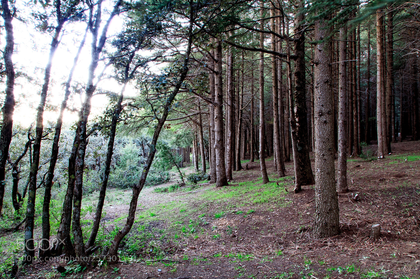 Canon EOS 5D Mark II sample photo. Hdr photography