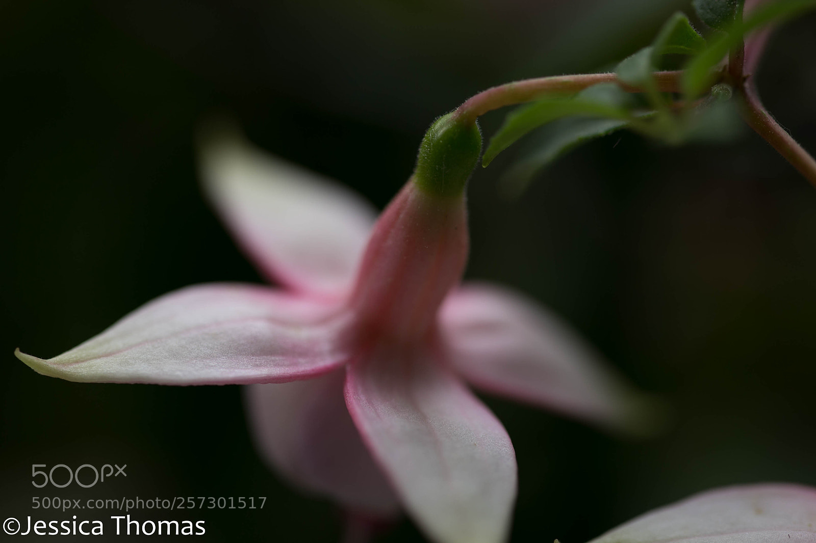 Canon EOS 6D sample photo. Untitled photography