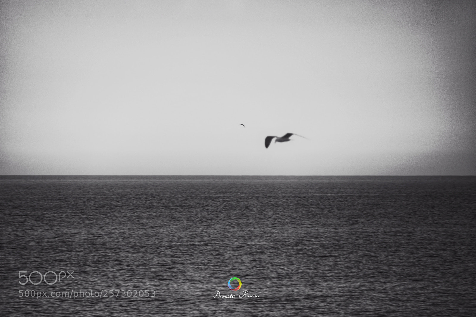 Nikon D5200 sample photo. Untitled photography