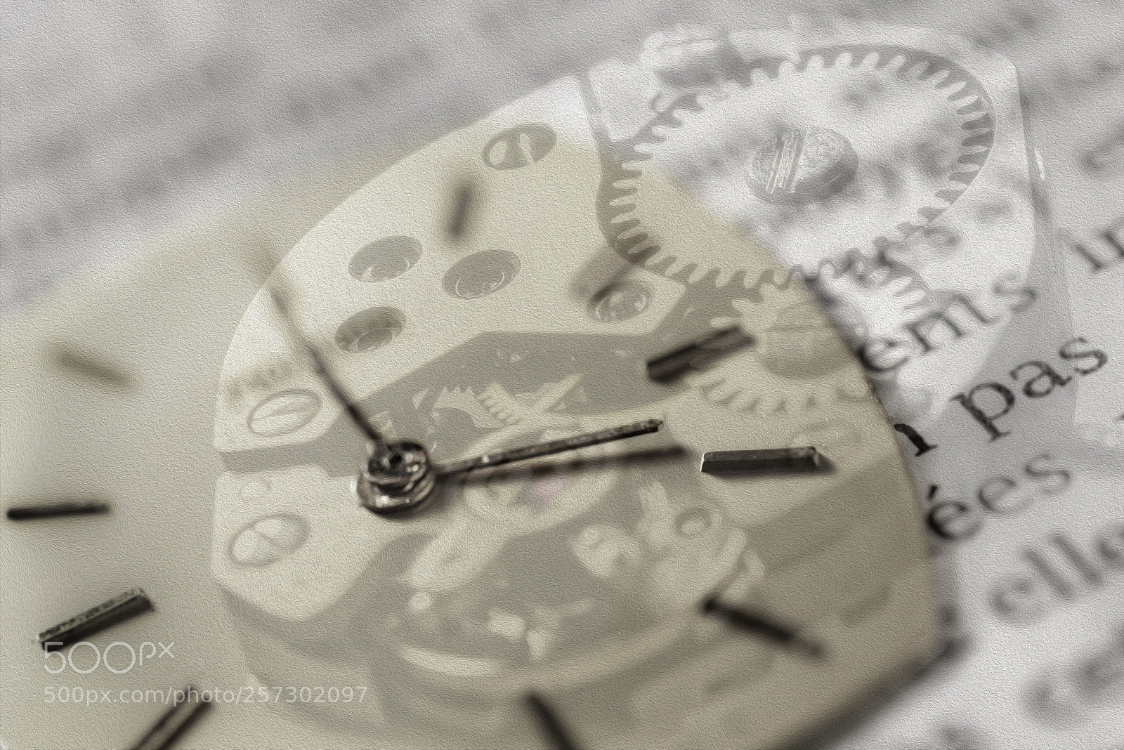 Nikon D810 sample photo. In memory of photography