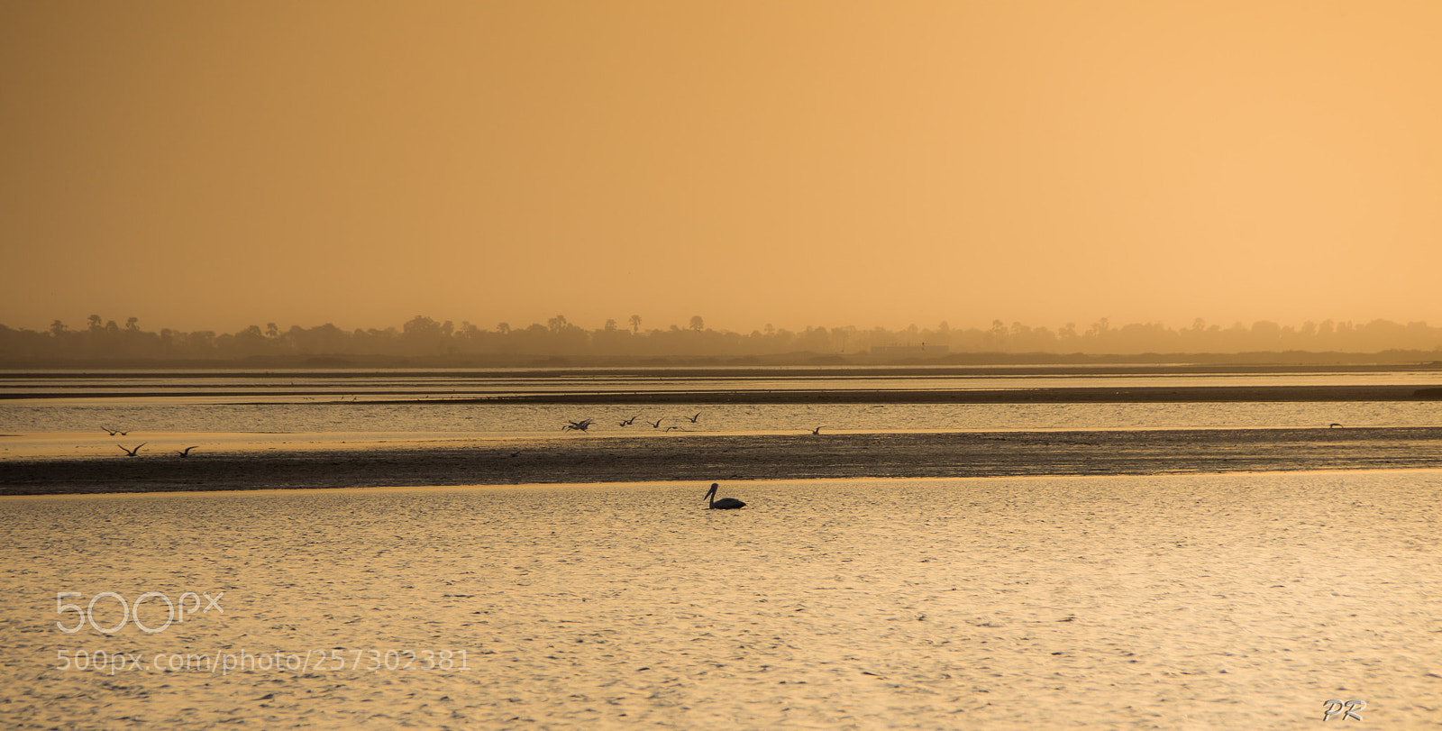 Sony SLT-A77 sample photo. In the morning light photography