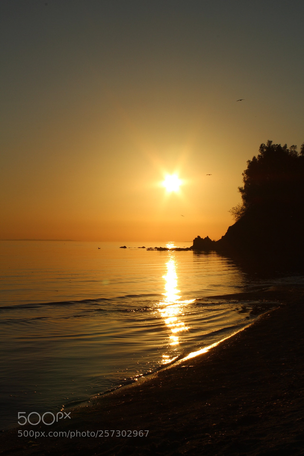 Canon EOS 1300D (EOS Rebel T6 / EOS Kiss X80) sample photo. Sunset erdek photography