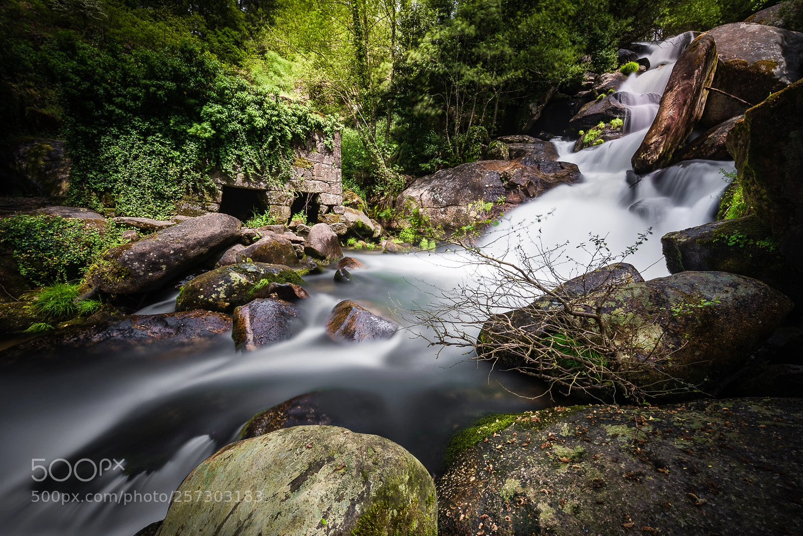 Nikon D810 sample photo. Barosa ii photography