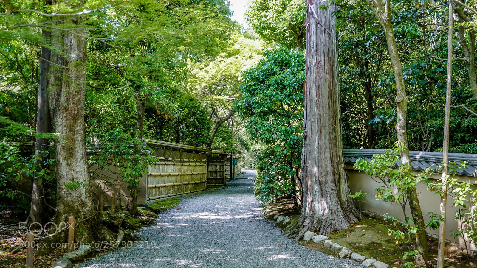 Sony a6300 sample photo. Tempel path photography