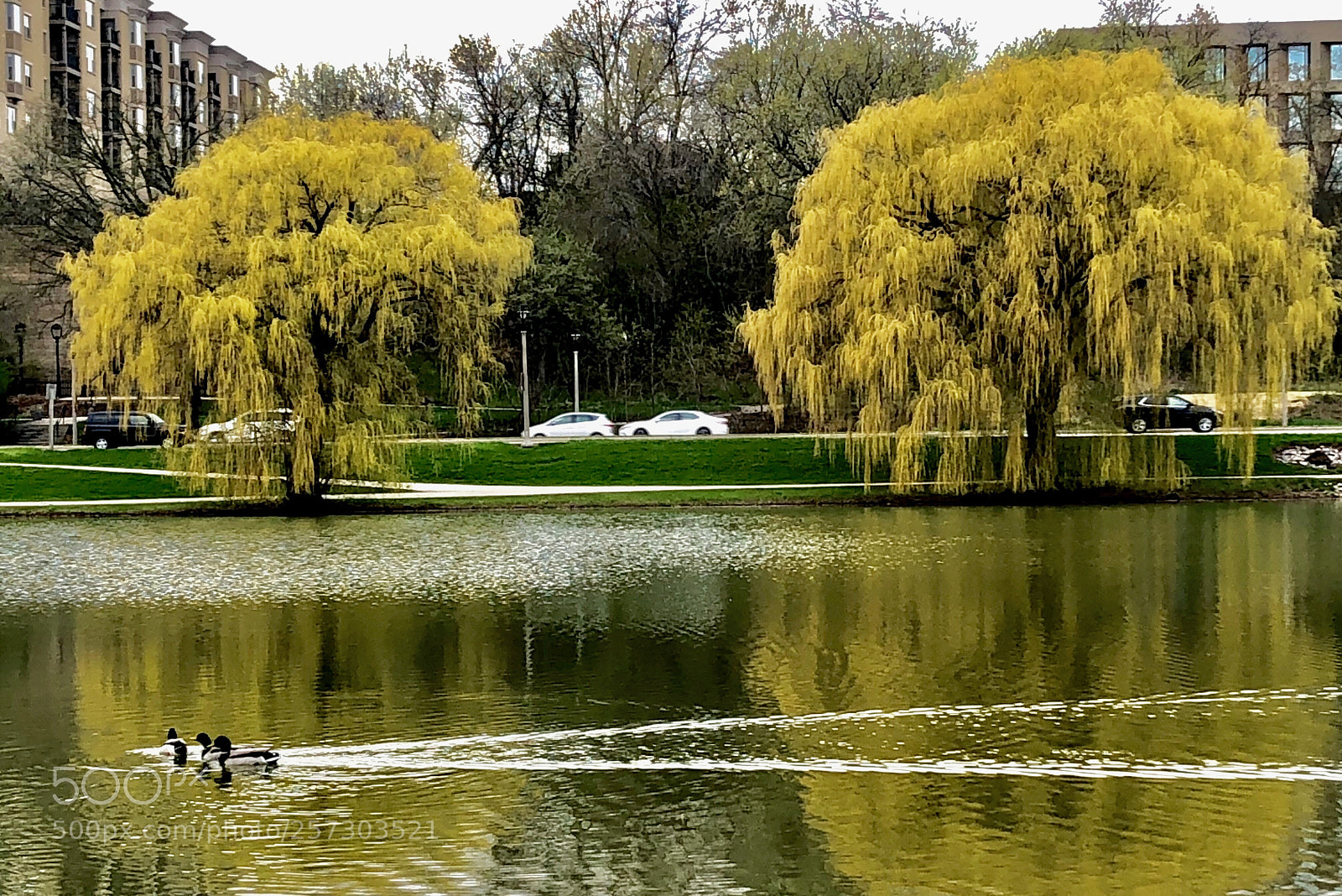 Apple iPhone 8 sample photo. Veterans park, milwaukee, usa photography