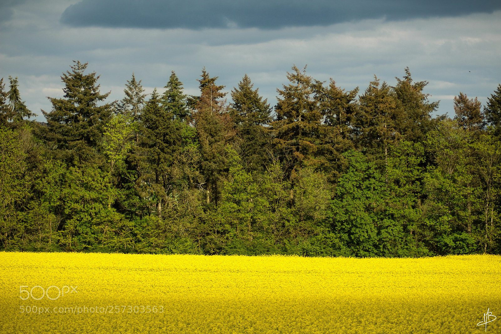 Canon EOS 700D (EOS Rebel T5i / EOS Kiss X7i) sample photo. Spring in brittany photography