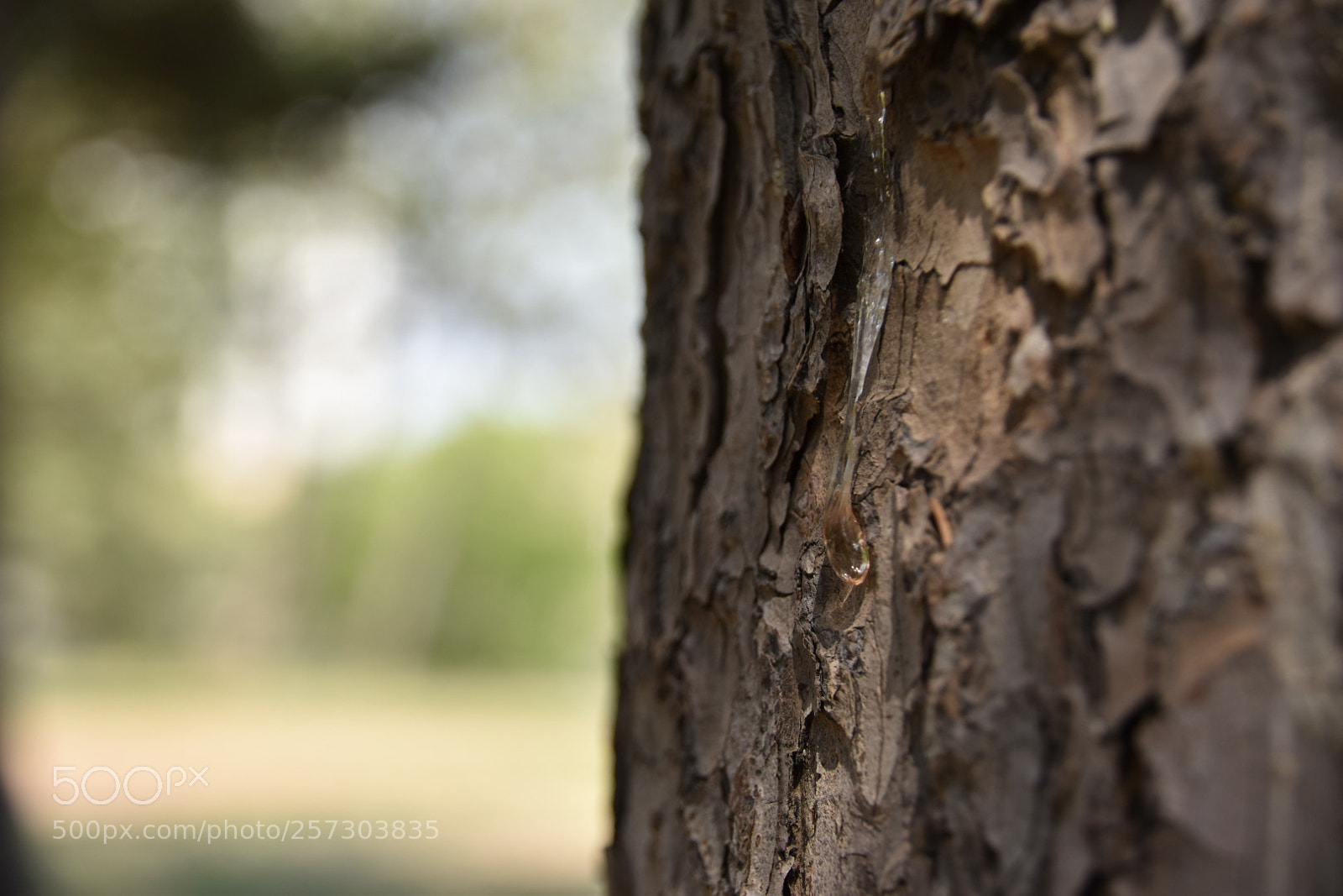 Nikon D5600 sample photo. Untitled photography