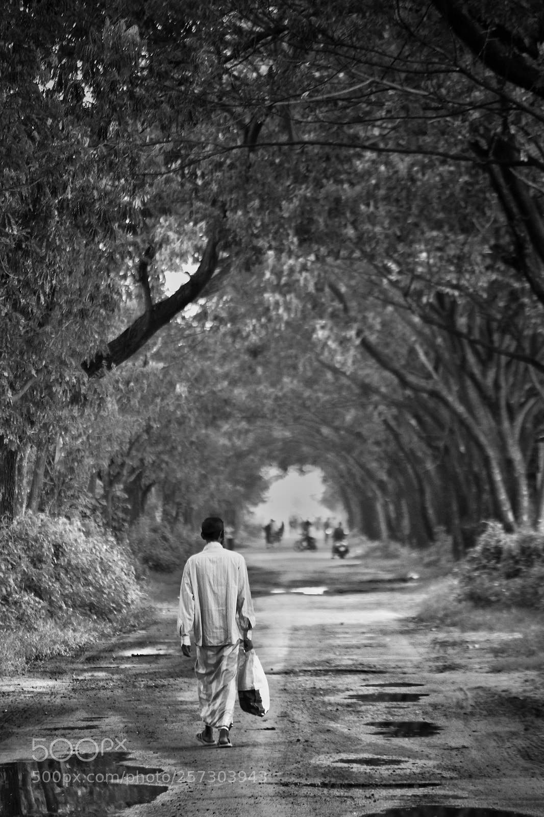 Canon EOS 700D (EOS Rebel T5i / EOS Kiss X7i) sample photo. On the way to photography