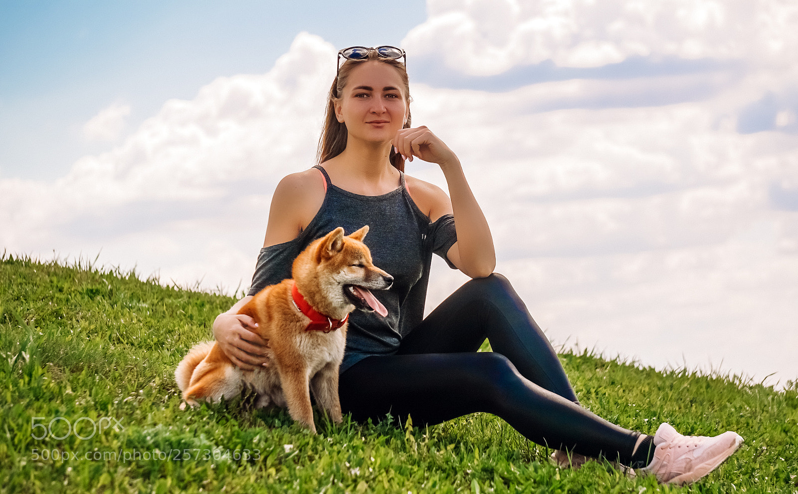 Sony a7R II sample photo. Shiba inu puppy and photography