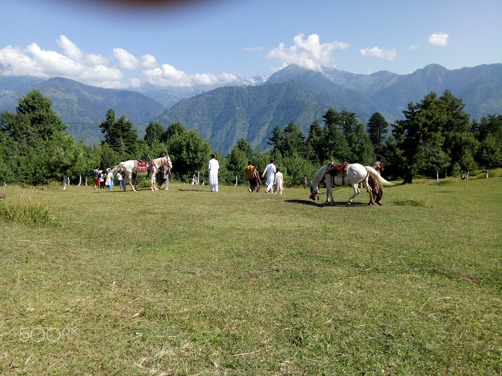 OPPO A1601 sample photo. Shogran valley photography