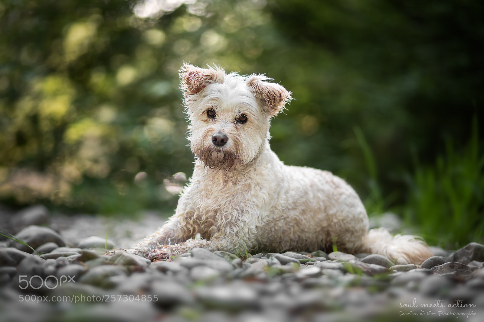 Canon EOS 5D Mark IV sample photo. Aebby - 9 jahre photography