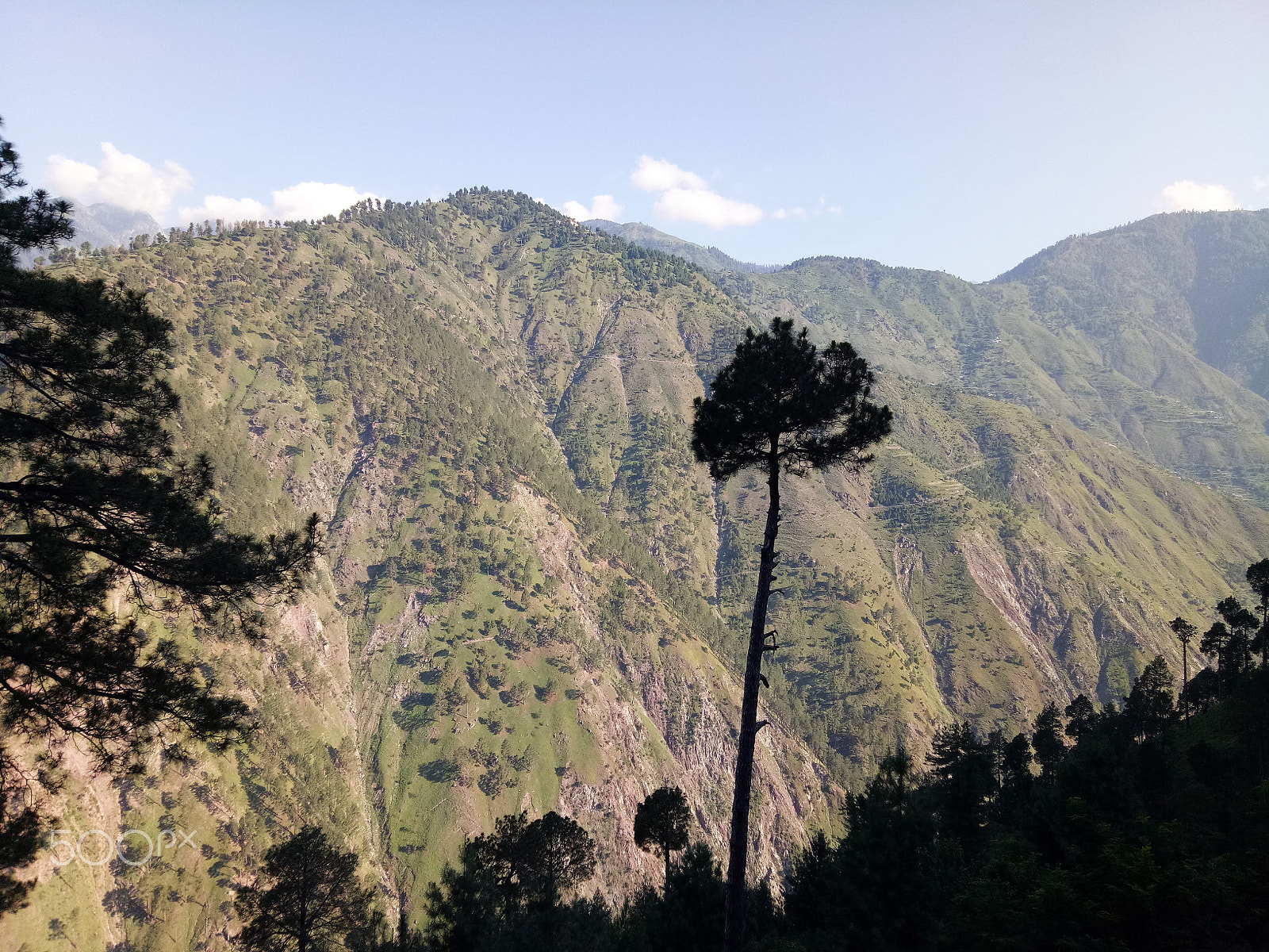 OPPO A1601 sample photo. Shogran valley photography