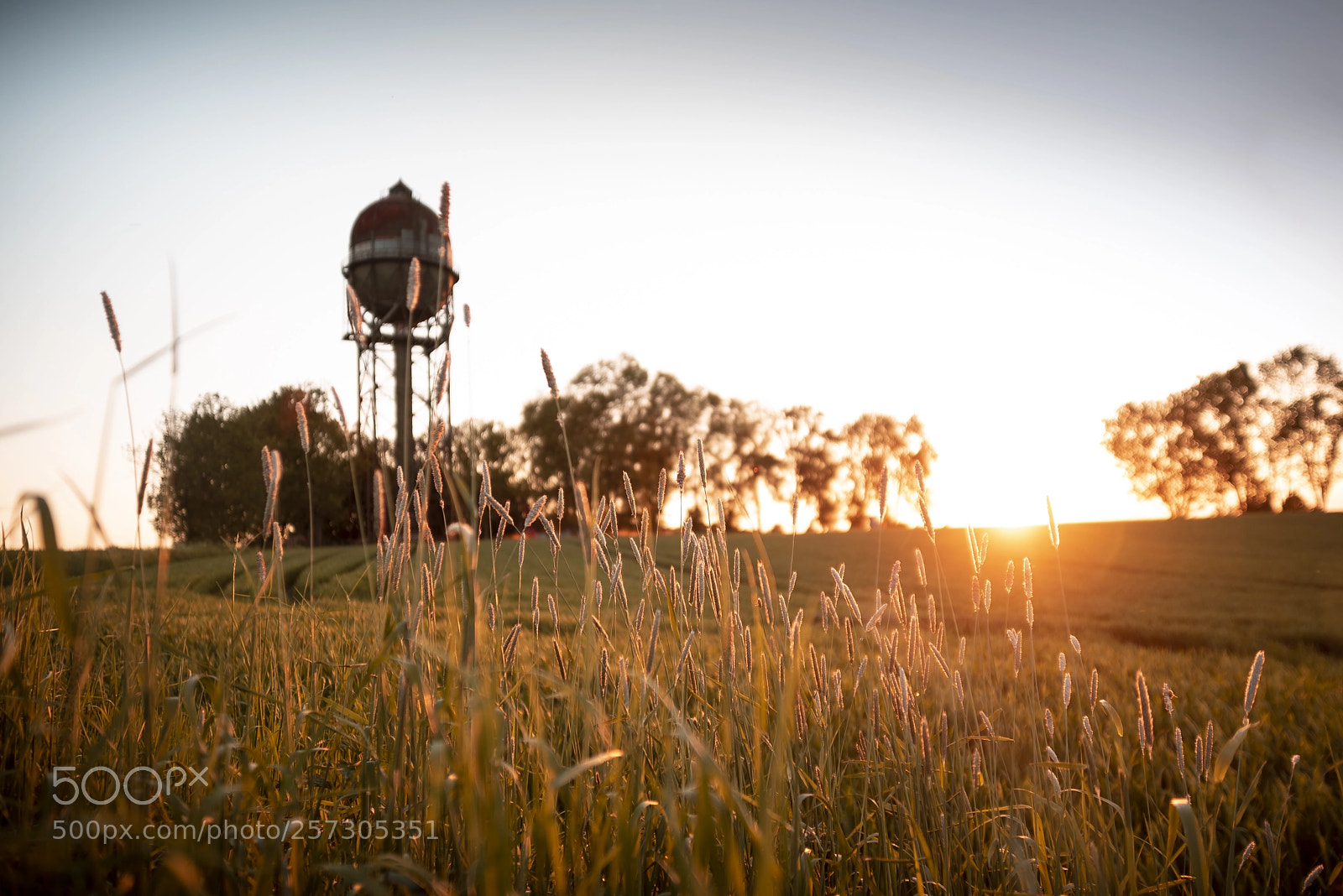 Nikon D750 sample photo. Sunset on the lanstroper photography