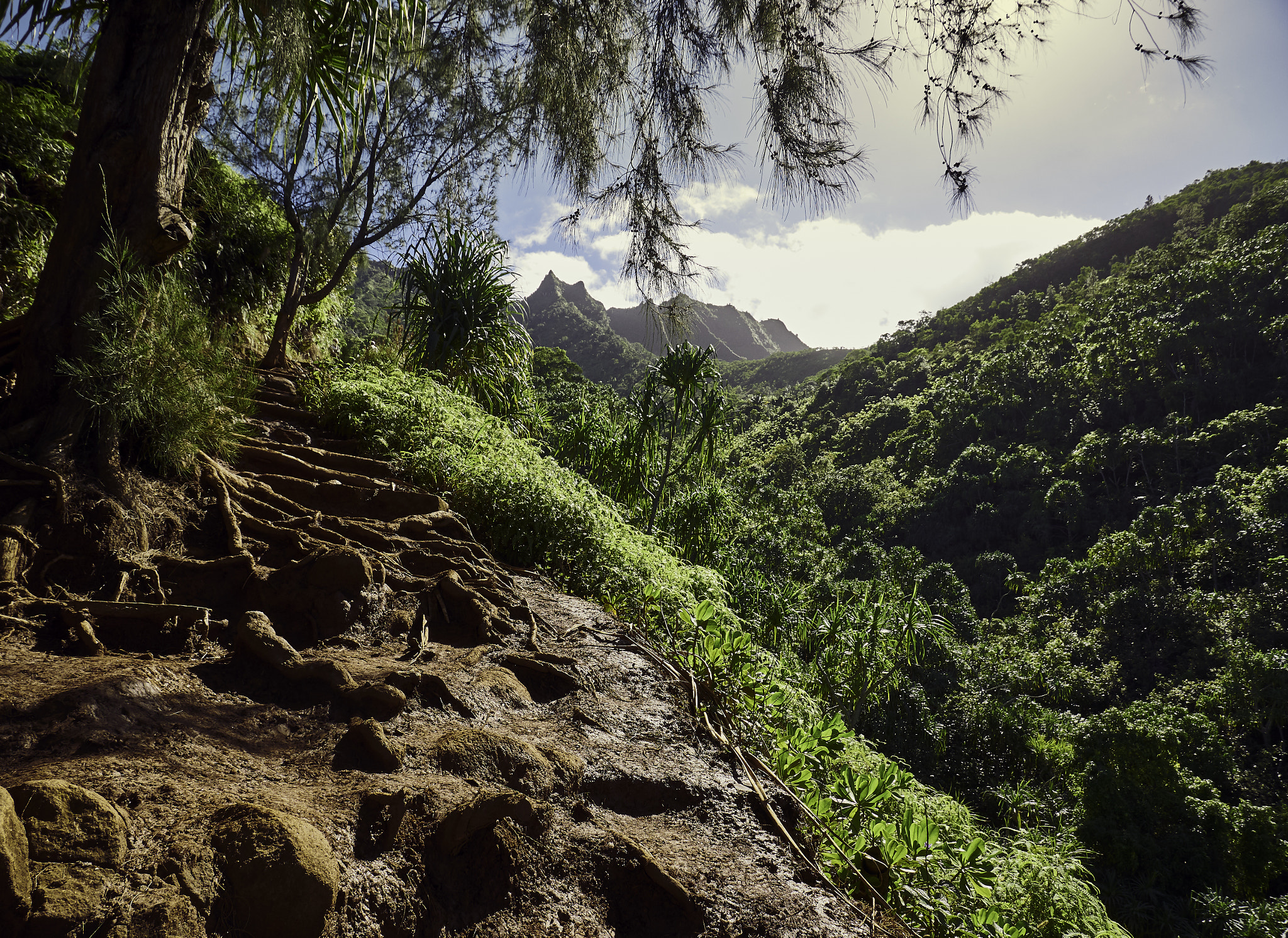 Panasonic Lumix DMC-G85 (Lumix DMC-G80) sample photo. Hawaiian coastline 10 photography