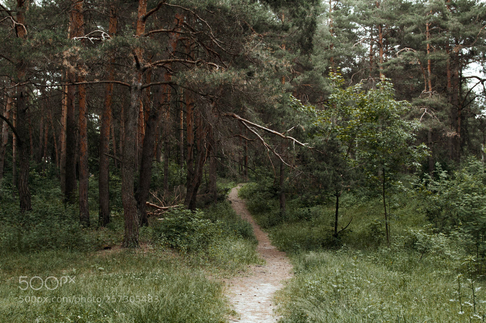 Canon EOS 60D sample photo. Unknown road photography