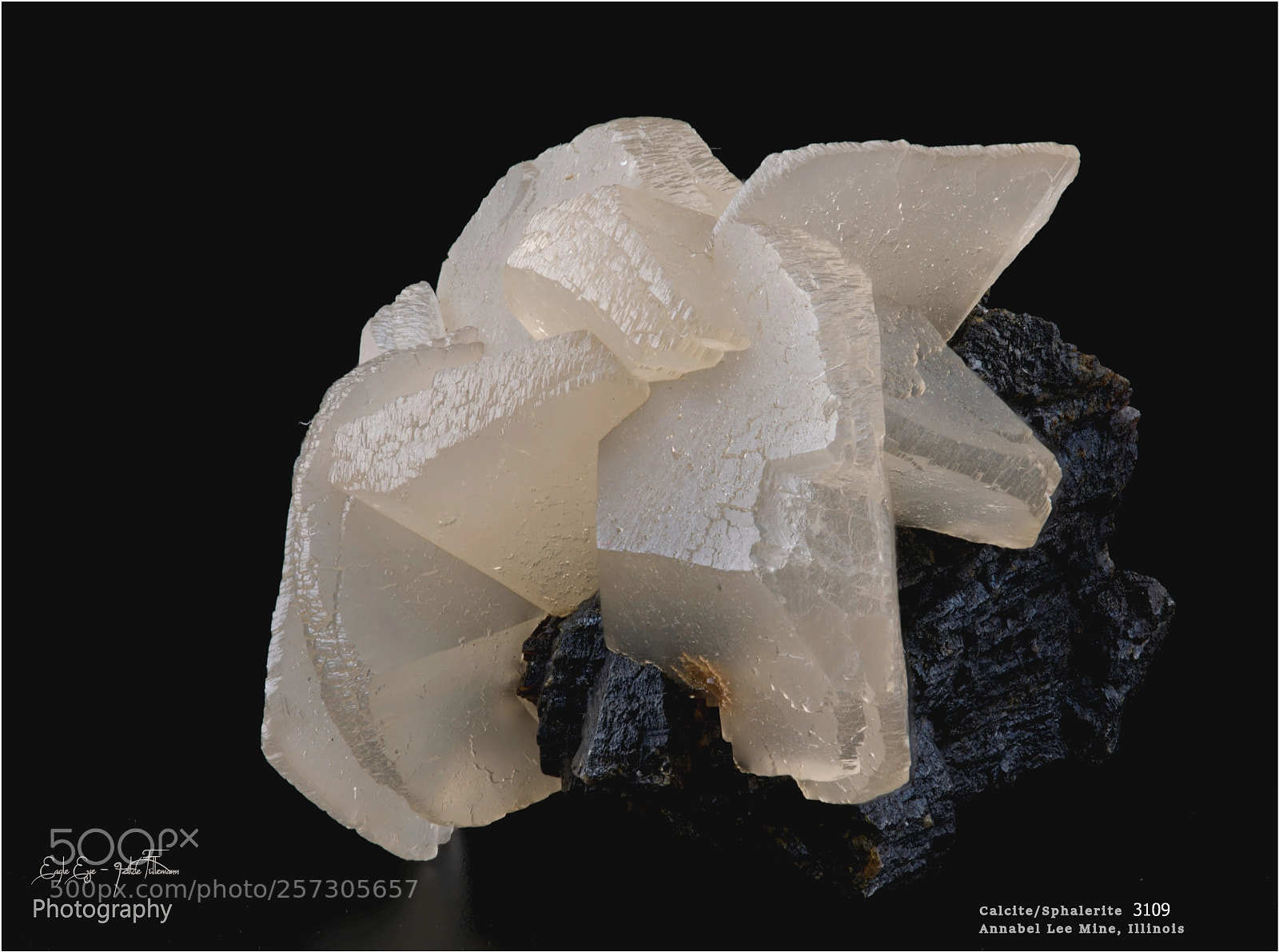 Nikon D750 sample photo. Crystal magic photography