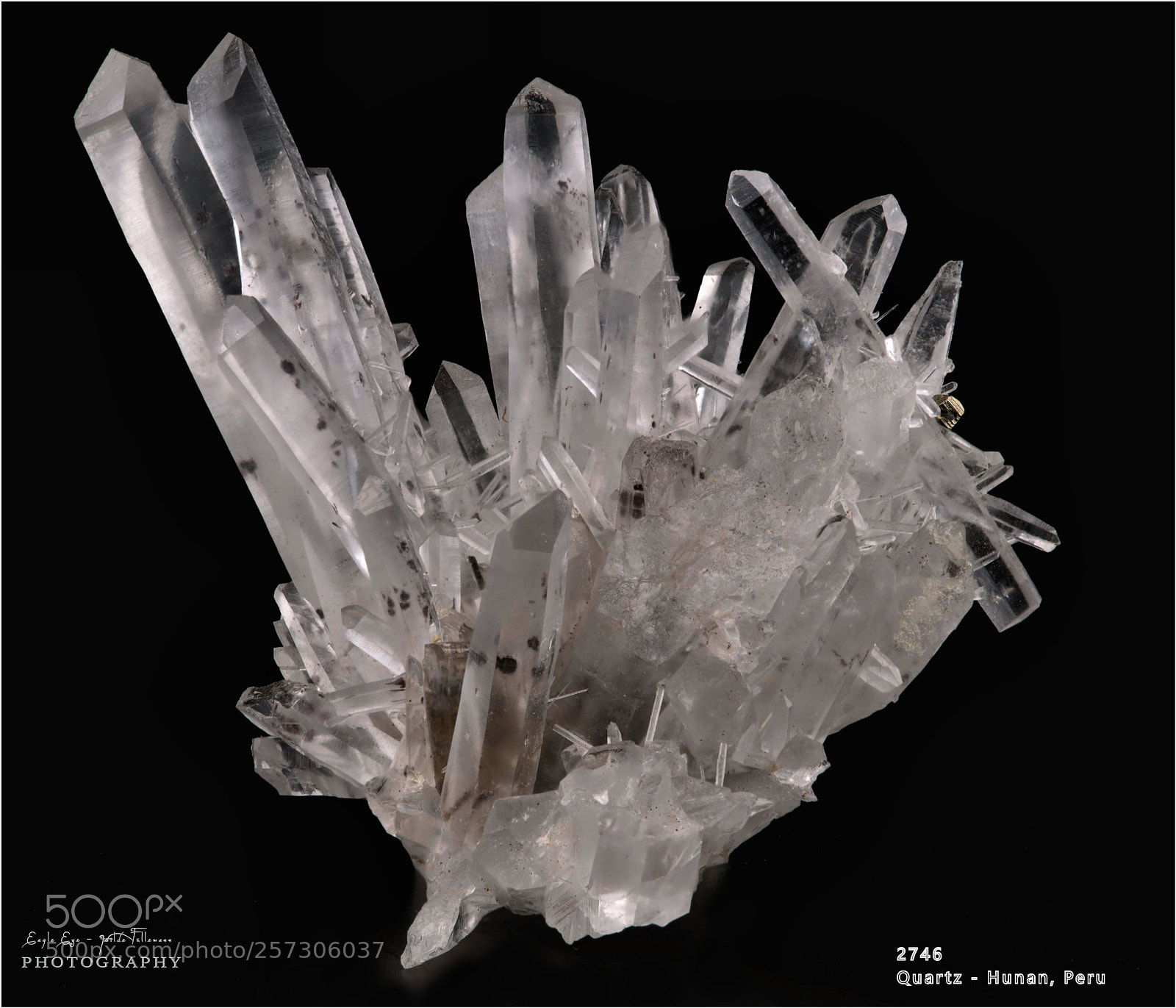 Nikon D750 sample photo. Crystal perfection photography