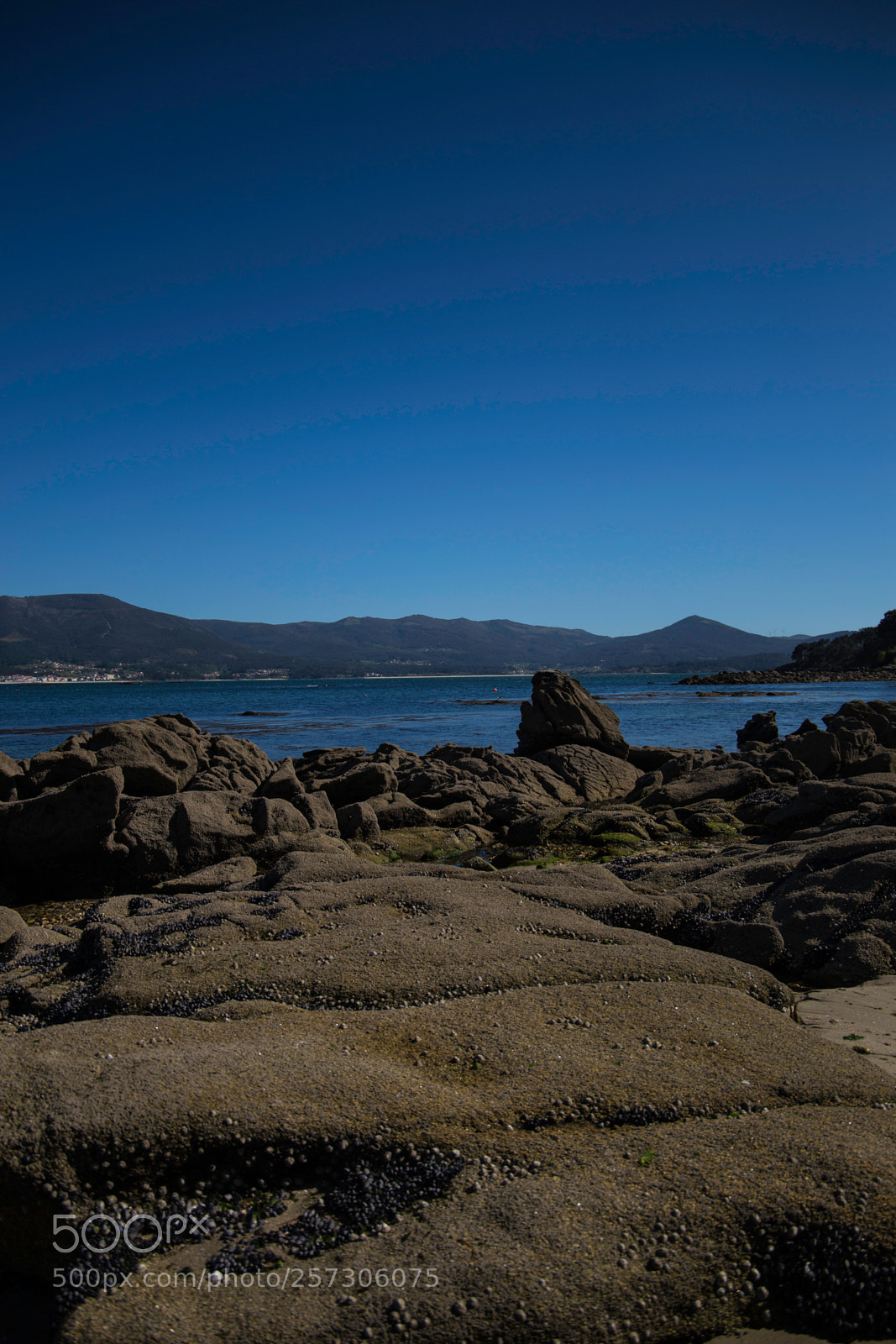 Canon EOS 6D sample photo. Little paradise photography