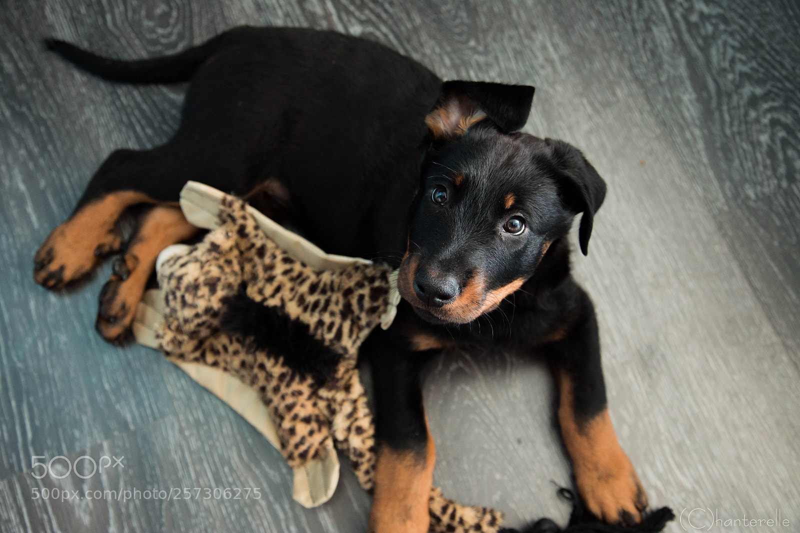 Canon EOS 6D sample photo. Marcus photography