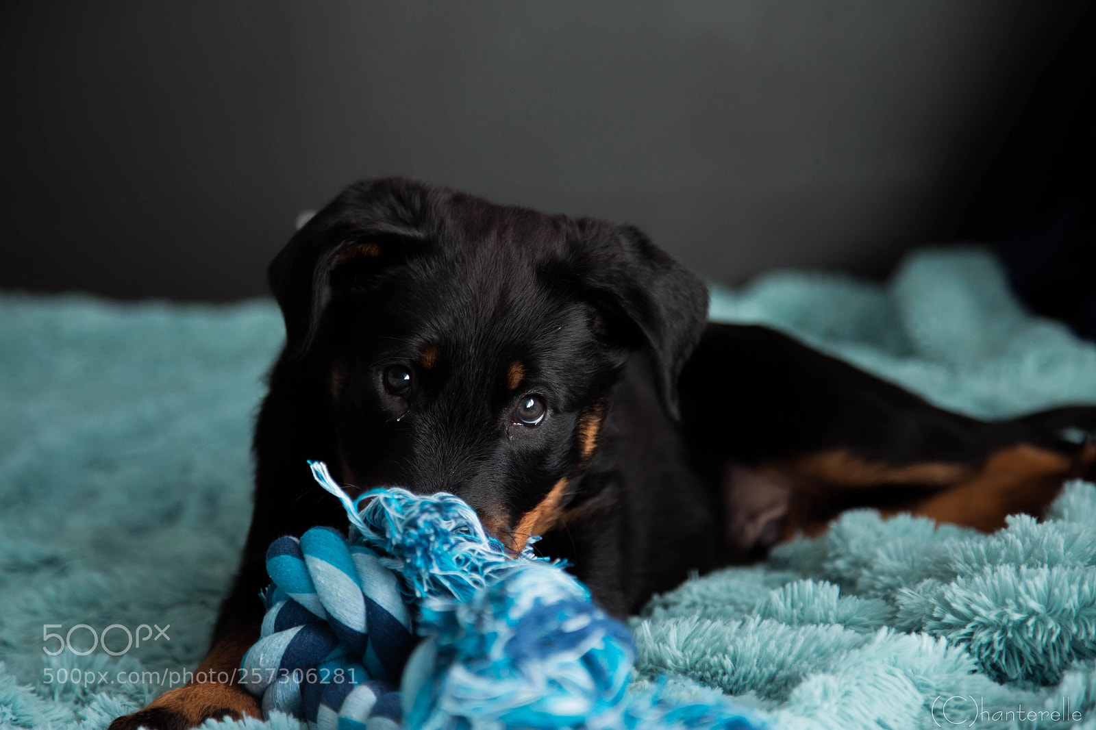Canon EOS 6D sample photo. Marcus photography