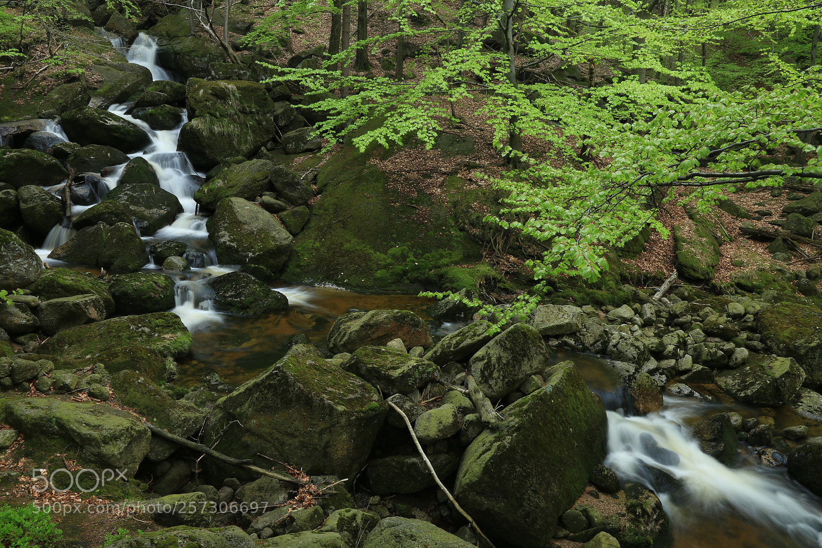 Canon EOS 6D + Canon EF 24-105mm F4L IS USM sample photo. Jizerky photography