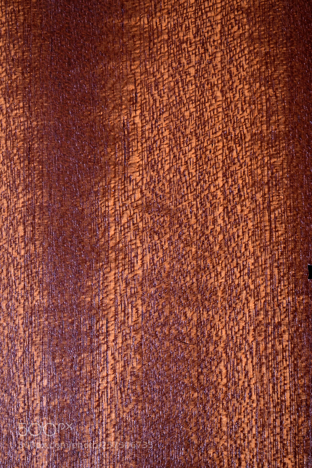 Nikon D3300 sample photo. Holz1 photography
