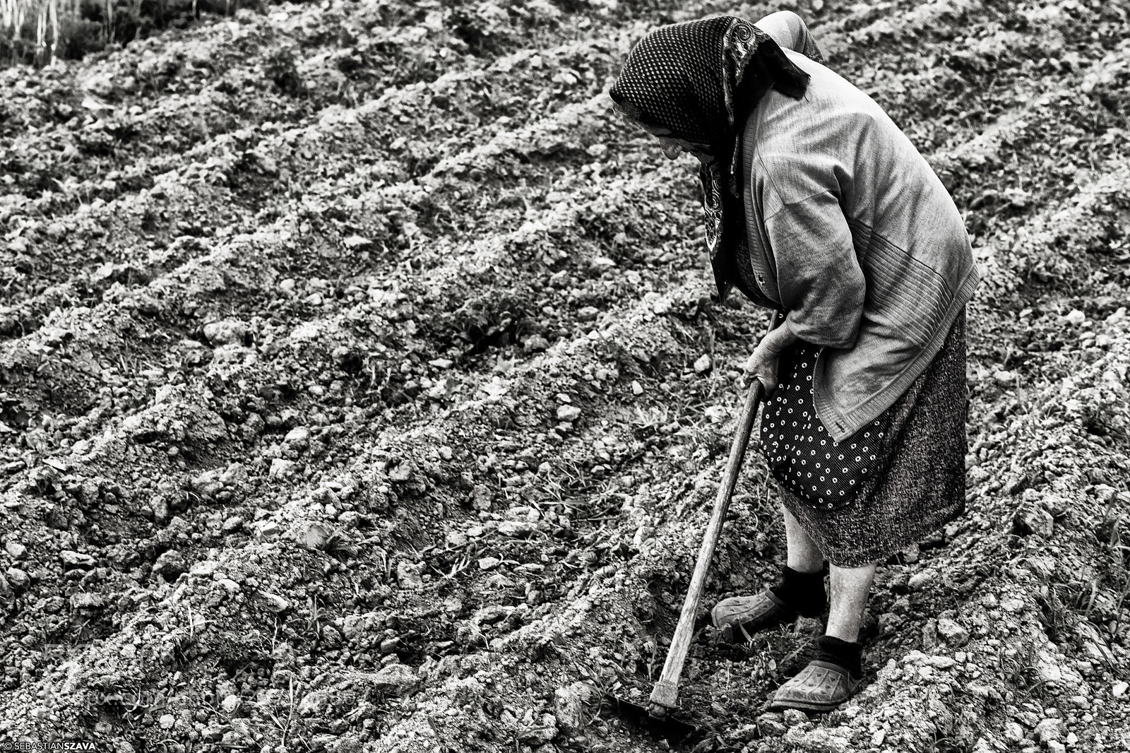 Sony a6000 sample photo. Old woman working the photography