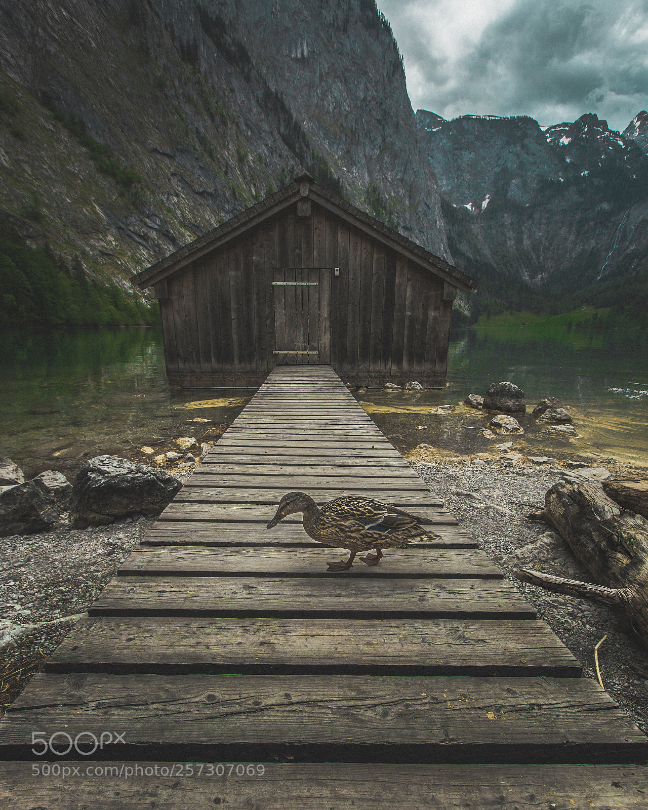 Canon EOS 5D Mark II sample photo. Obersee photography