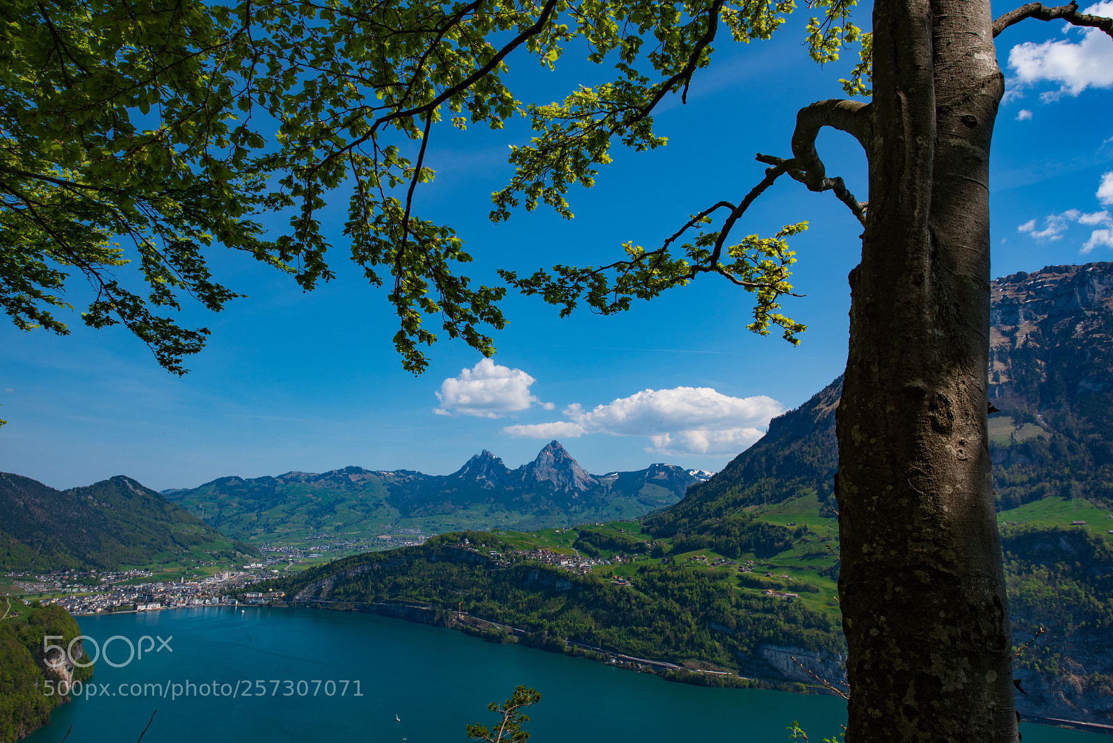 Nikon D750 sample photo. Urnersee photography