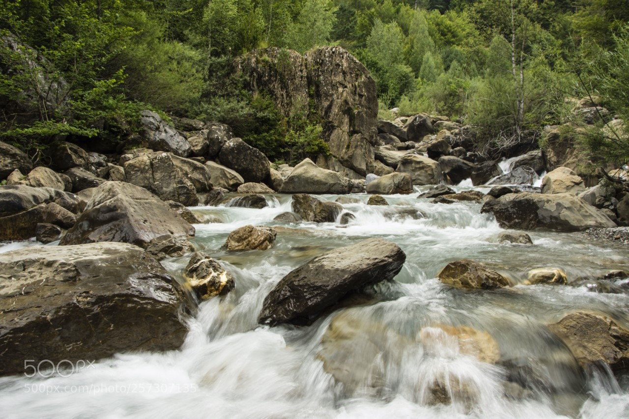 Nikon D7200 sample photo. Desde el agua photography