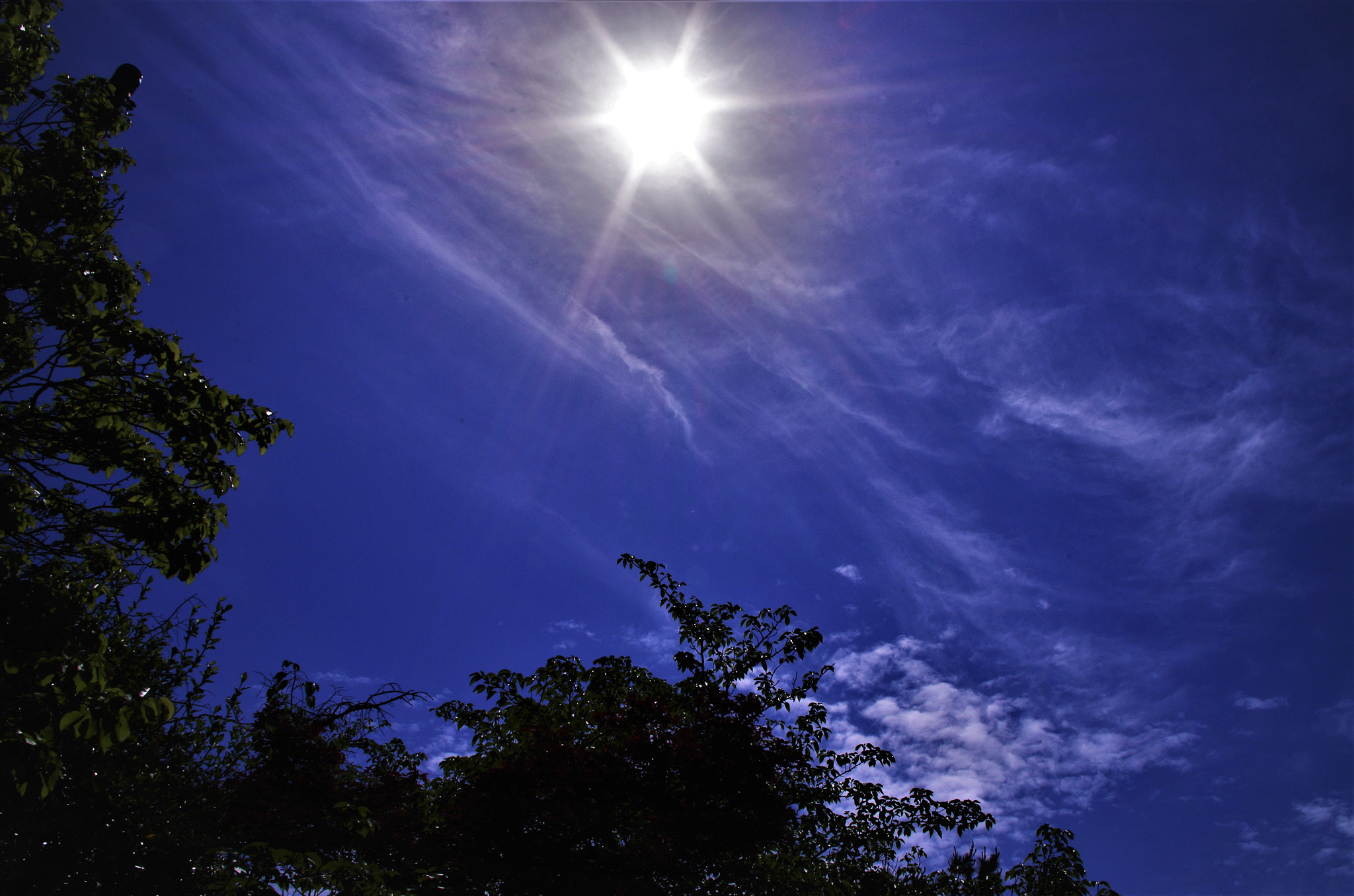 smc PENTAX-DA L 18-55mm F3.5-5.6 sample photo. Refreshing photography