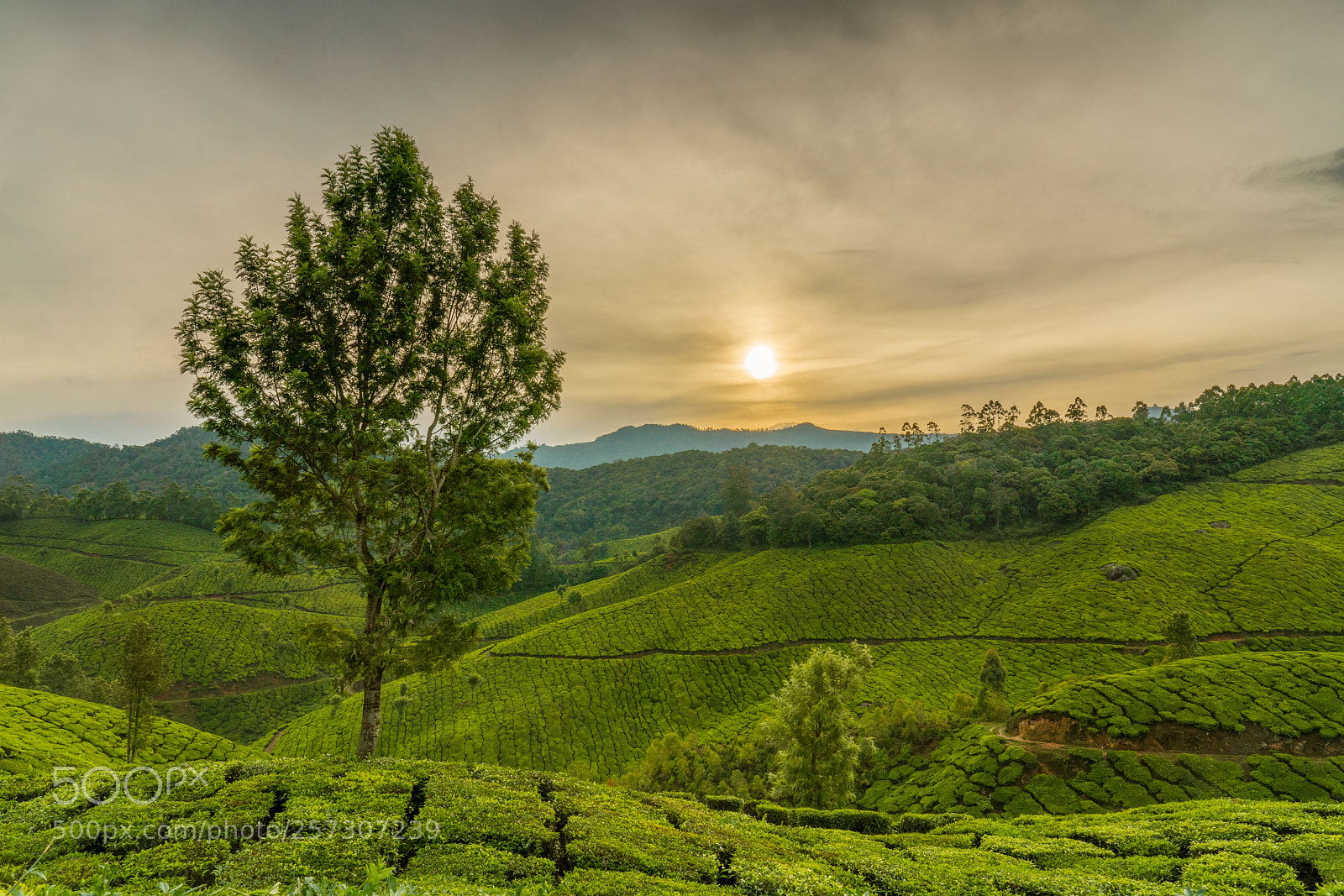 Sony a7R III sample photo. Sunrise @ top station photography