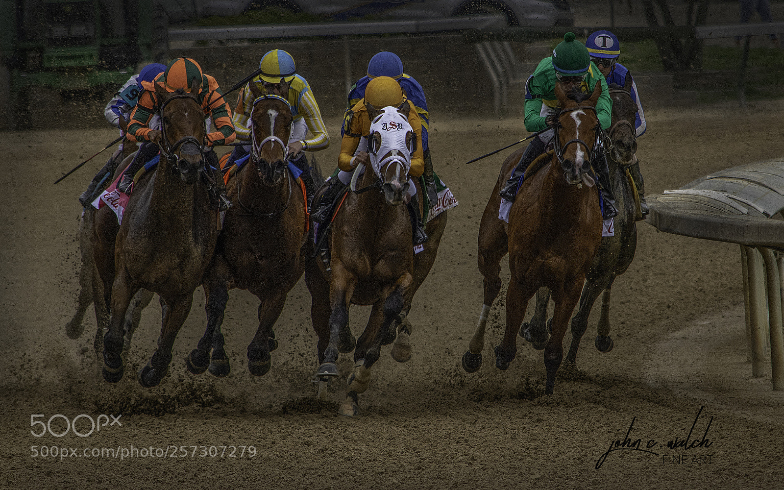 Nikon D5500 sample photo. Oak girls on dirt photography