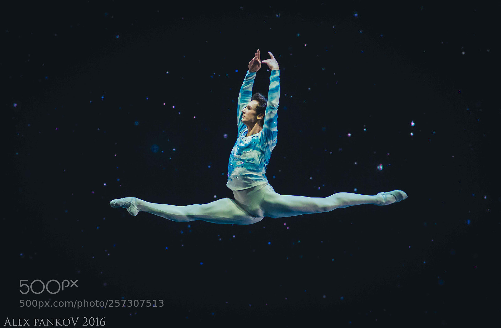 Nikon D600 sample photo. Flight photography