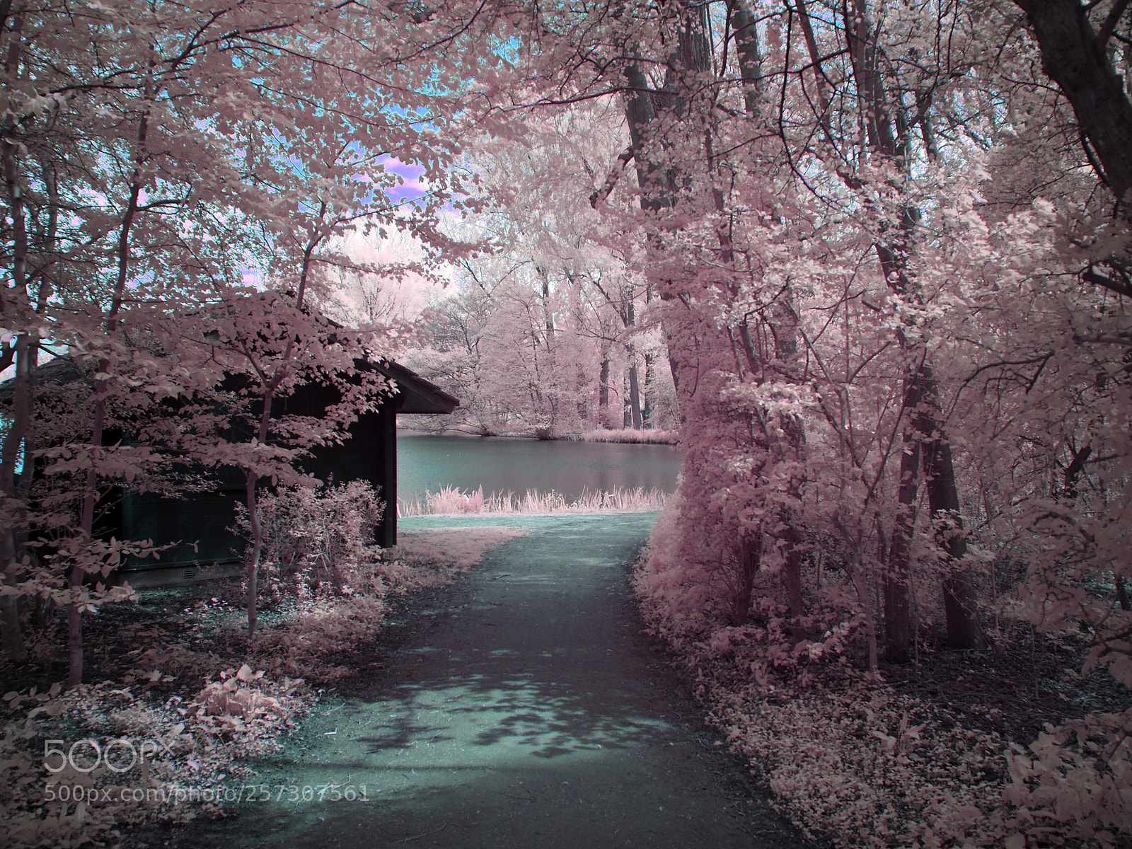 Olympus OM-D E-M5 II sample photo. :) photography