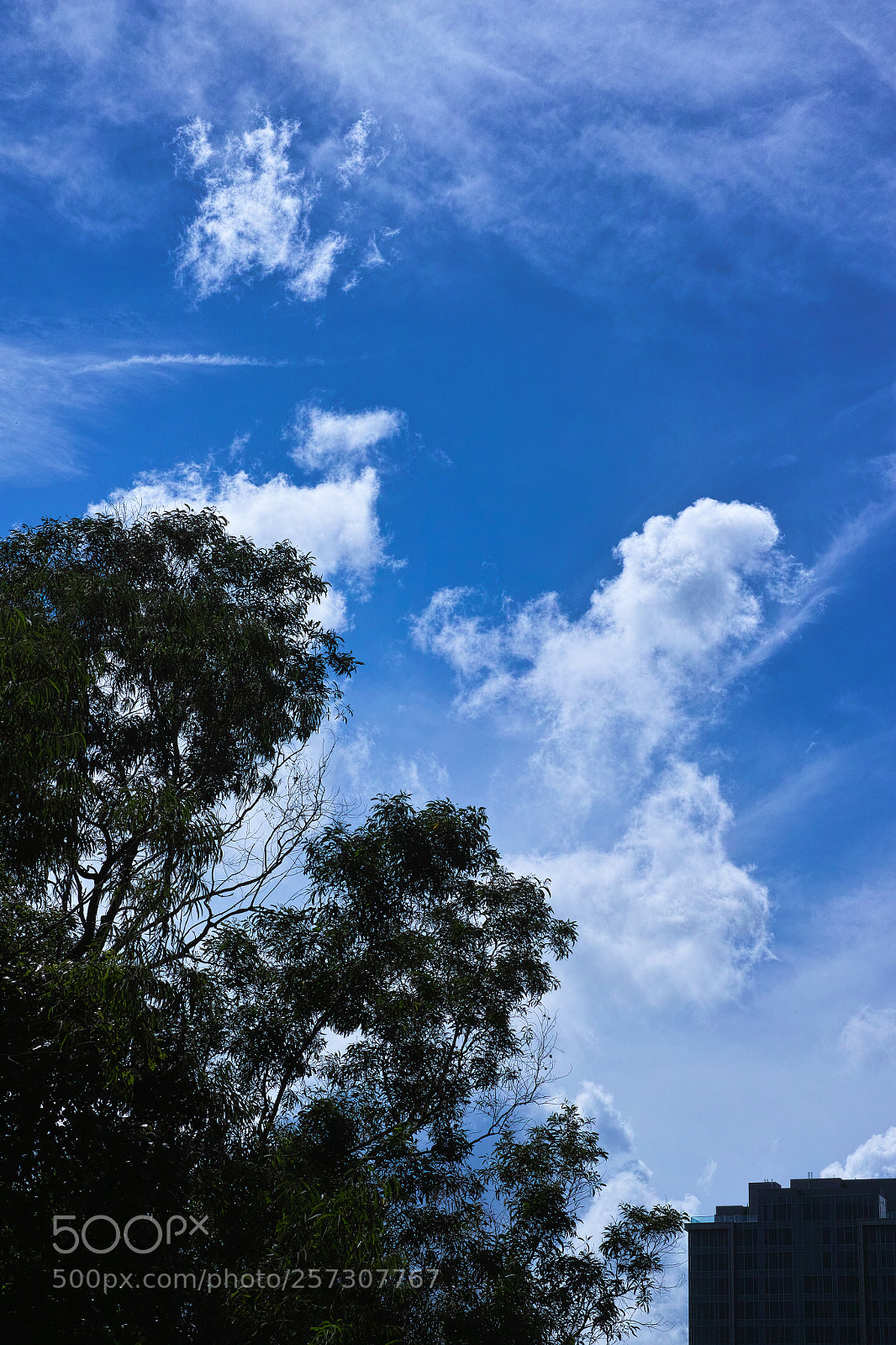 Sigma DP3 Merrill sample photo. Country park photography