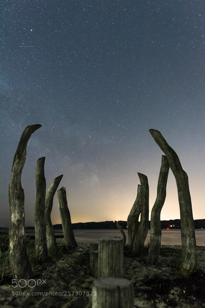Nikon D810 sample photo. Albuen vejle fjord photography