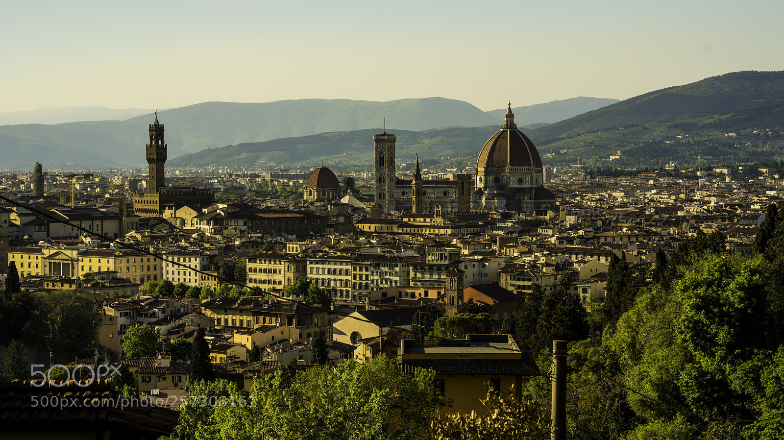 Nikon D750 sample photo. Welcome to firenze! photography