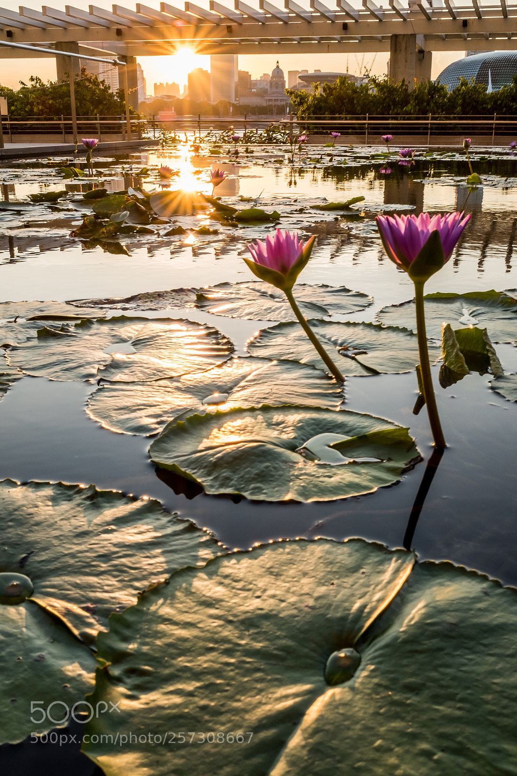 Fujifilm X100F sample photo. Sunset in singapore. photography