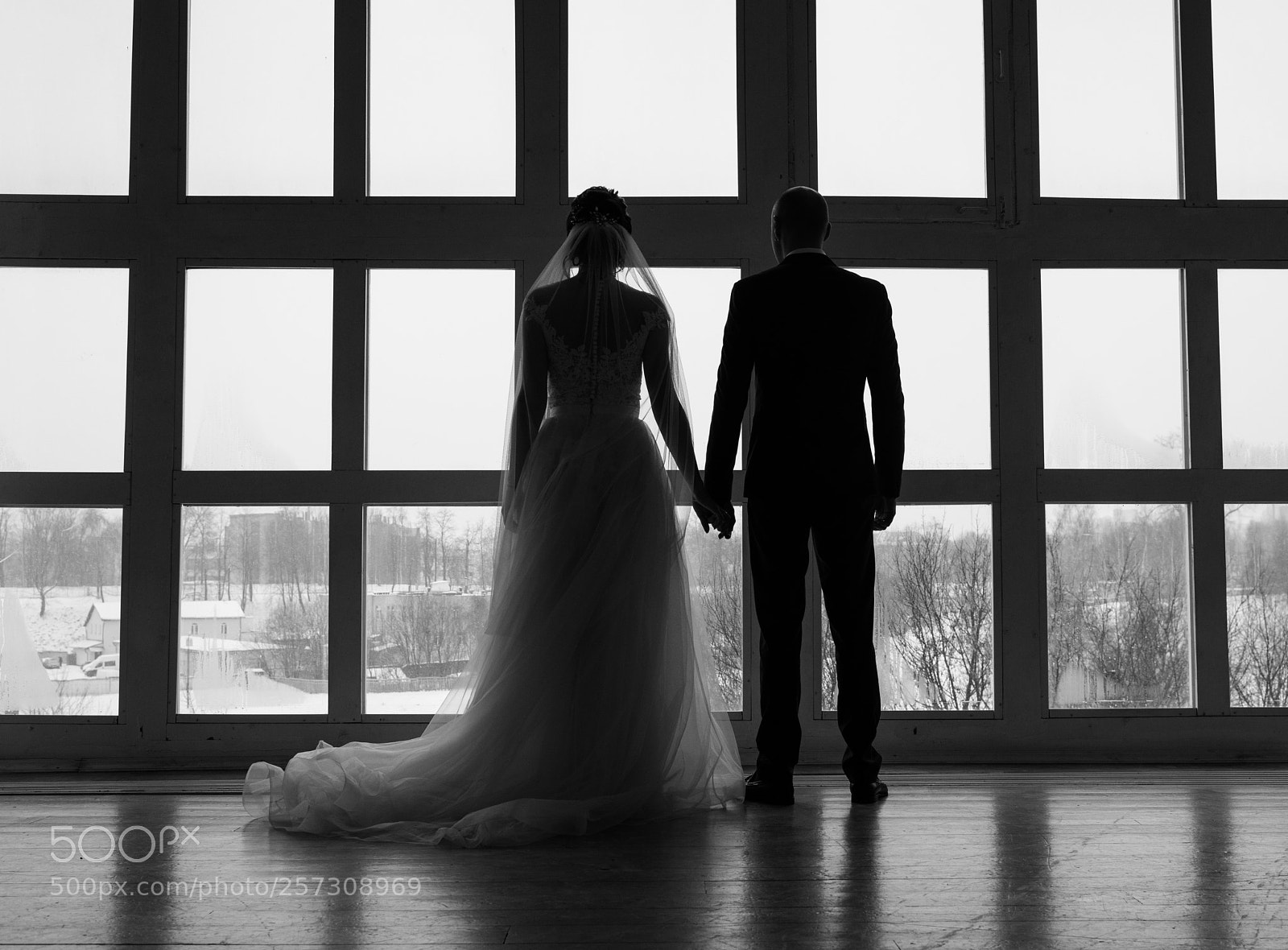 Nikon D800E sample photo. Untitled photography