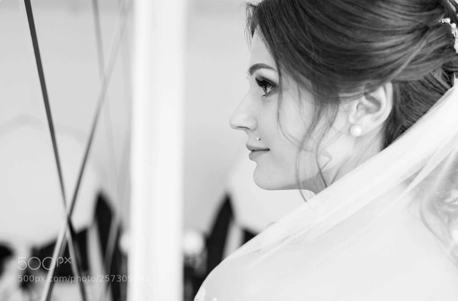 Nikon D800E sample photo. Untitled photography