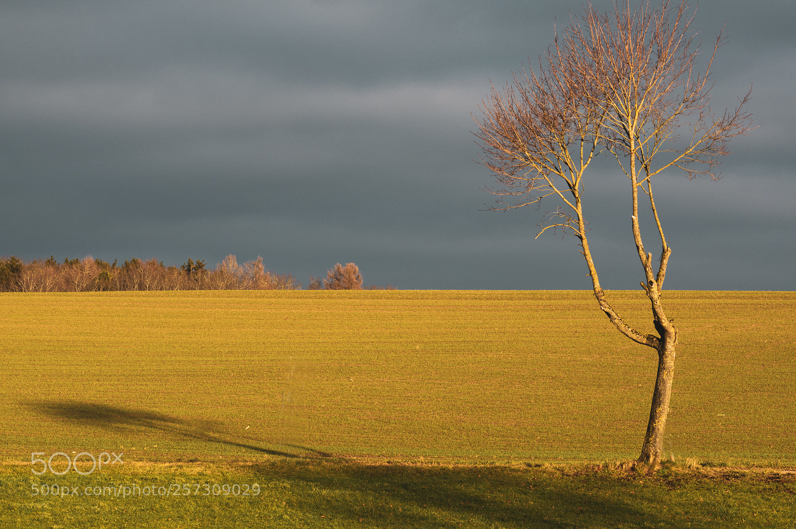 Pentax K-3 II sample photo. Warm shadow photography